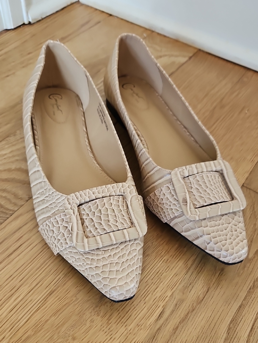 Croc-Textured Pointed Ballet Flats with Decorative Buckle in Beige